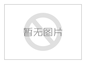 计量泵常见故障