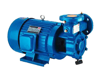 W型高扬程旋涡泵