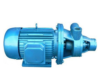 1W型直联式单级漩涡泵